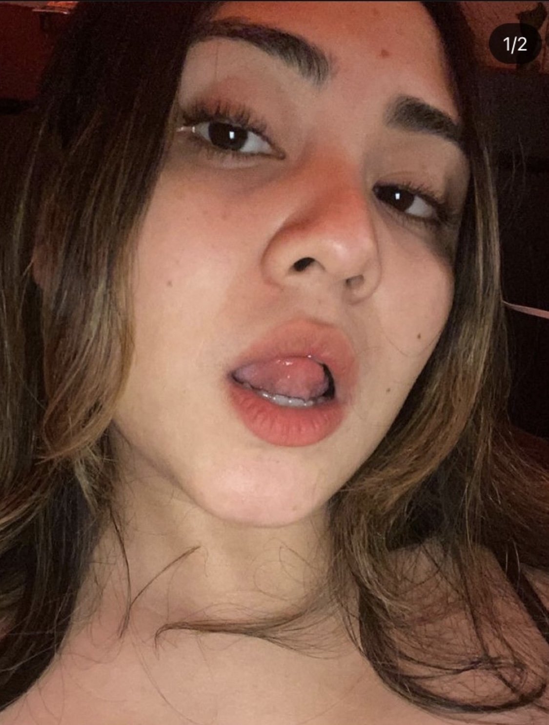 Rosa Leakd #LhxFhksK